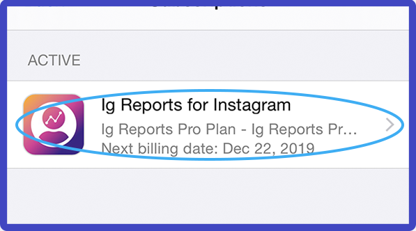 Ig Reports App